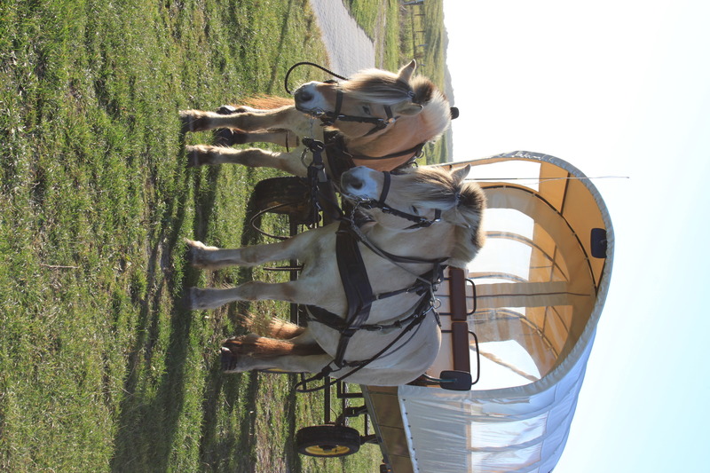 Foto 35 Ferienwohnung Ostfriesland Juist Turmwohnung 205 (Objekt 92345) Reise