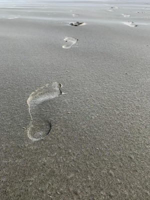 Foto 44 Ferienwohnung Ostfriesland Juist Turmwohnung 205 (Objekt 92345) Urlaub