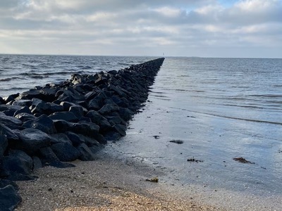 Foto 19 Ferienhaus Ostfriesland Dornum & Umgebung Sielkate (Objekt 92331) Urlaub