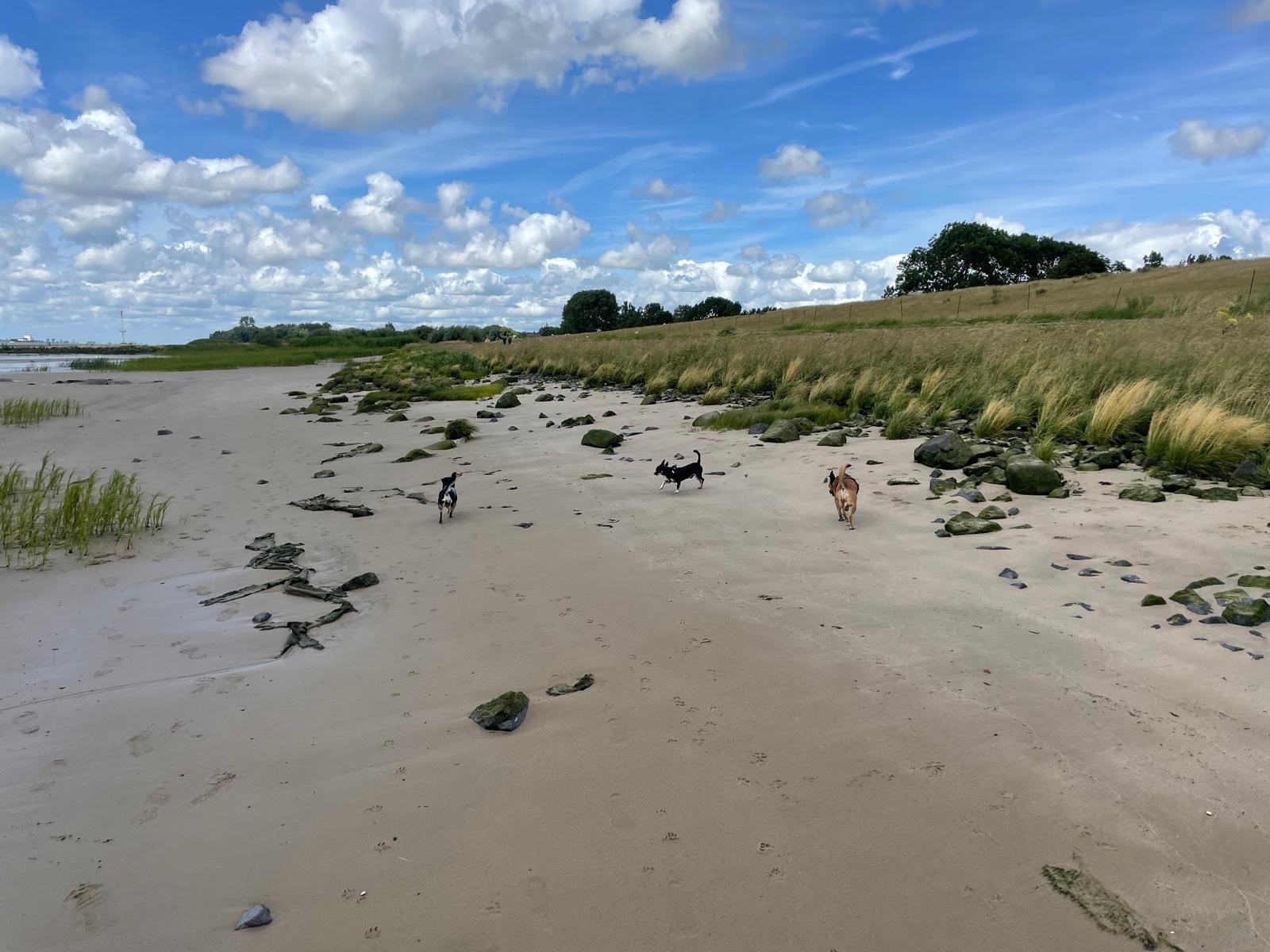 Ferienhaus ELBNEST direkt am Elbstrand, ideale Nähe zur Weltstadt Hamburg – Bild 24
