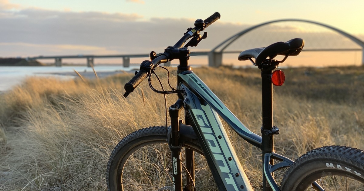 sunny cycling bike