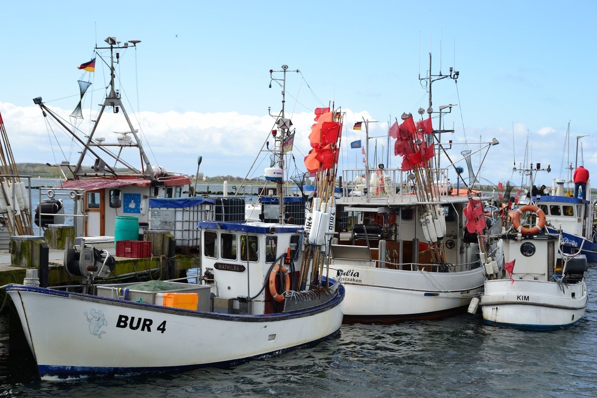 Hafen Burgstaaken auf Fehmarn