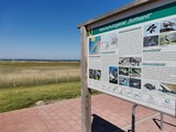 AktionsTAGE NaturERLEBEN - Steine bemalen