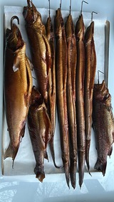 Räuchern für Genießer: Forellen & Lachs