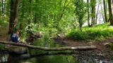 Wildniscamp für Kinder und Jugendliche