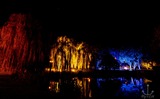 Lichtermeer im Kurpark - mit Andrea von Rehn