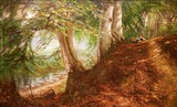 Die Landschaft im Blick