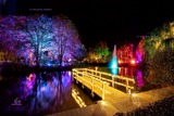 Lichtermeer im Kurpark - Vogelberg Musik