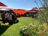 Sommerjazz im Café - Susanne Wegner & Friends