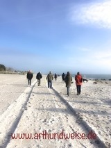 Strandspaziergang mit Hund