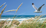 Strandentdeckungstour