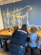 Offenes Ostseelabor