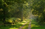 GESUND & ENTSPANNT - Waldbaden