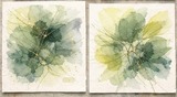 Botanische Experimente ( in Gr&uuml;nt&ouml;nen )