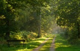 GESUND & ENTSPANNT - Waldbaden