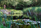 Evangelischer Pfingstgottesdienst am Waldteich
