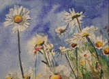 Frühlings- und Sommerblumen - Aquarellkurs mit Susanne Cromwell im Haus des Gastes