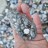 Geologische Wanderung in Strande