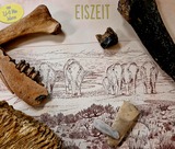 Eiszeitkurs