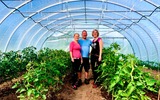 Biointensiver Gemüseanbau im Market Gardening Stil