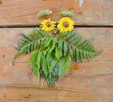 Unterwegs in der Natur