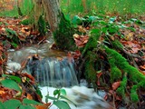 Unterwegs im Schleswiger Tiergarten