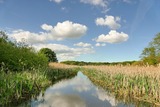 Verwunschene Teiche im Naturpark Westensee