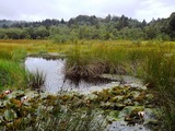 &Uuml;berraschende Vielfalt in den Fr&ouml;ruper Bergen