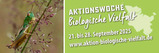 Teevielfalt im und aus dem Garten
