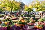 Oldenburger Landmarkt