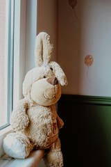 Magische Kuscheltier&uuml;bernachtung in der Stadtb&uuml;cherei in Holstein
