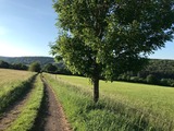 Wanderpauschale auf den Vogelsberger Extratouren