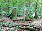 Waldbaden - Entspannt ins Wochenende