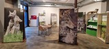 Kostenlose Dauerausstellung Thema "Wolf" im Vulkaneum